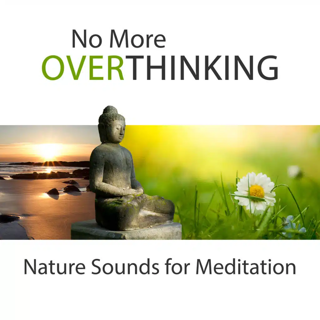 Think Calm (Well Being)