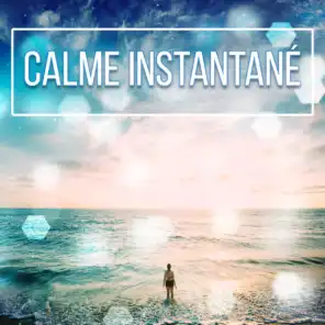 Calme instantané - Anti stress et relaxation, Nature thérapie, Massage et musique de méditation, Yoga kundalini, Spa collection