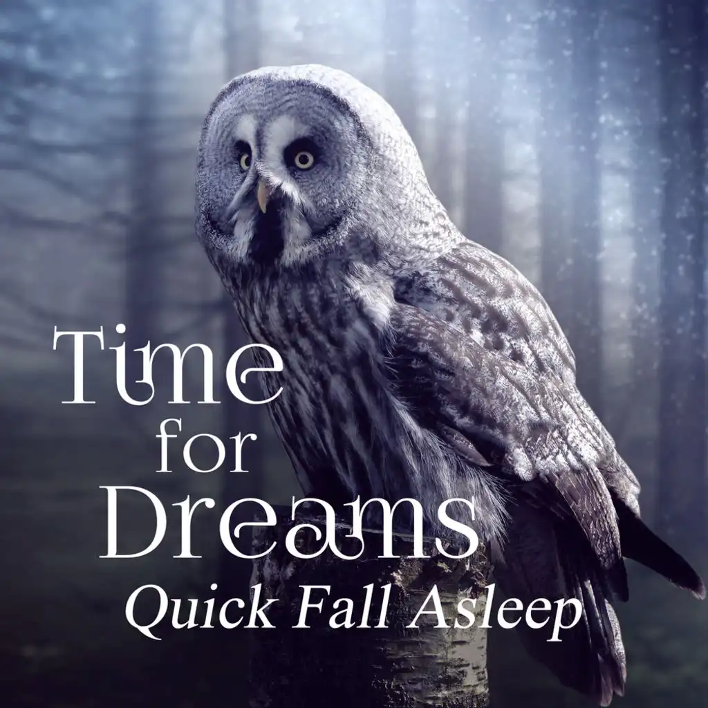 Time for Dreams: Quick Fall Asleep, Sleep Music, Calming Sounds for Evening, Relaxing Zen Song