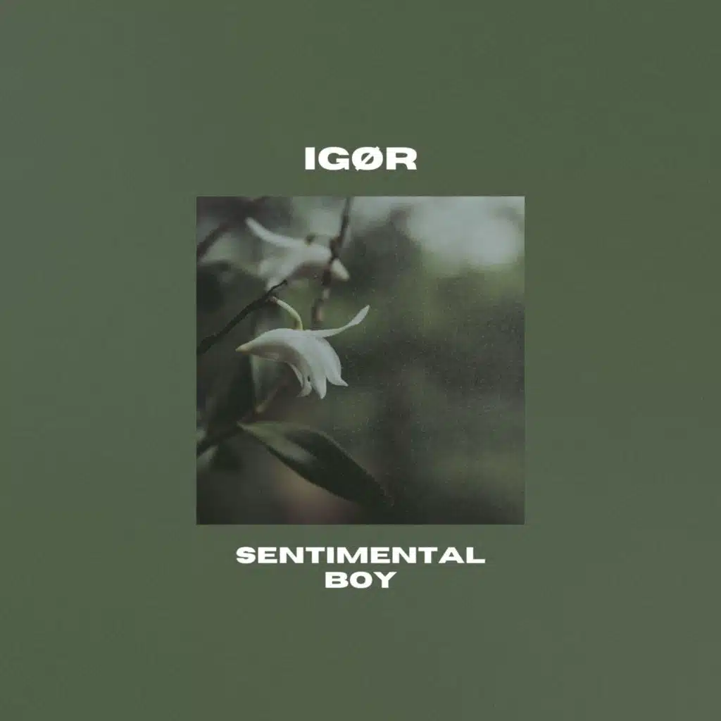 Sentimental Boy
