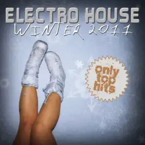 Electro House Winter 2011
