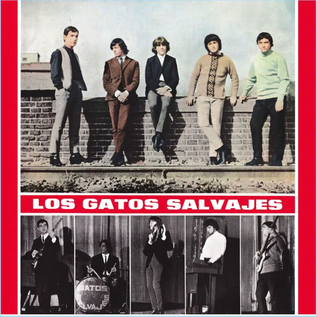 Los Gatos Salvajes (2018)