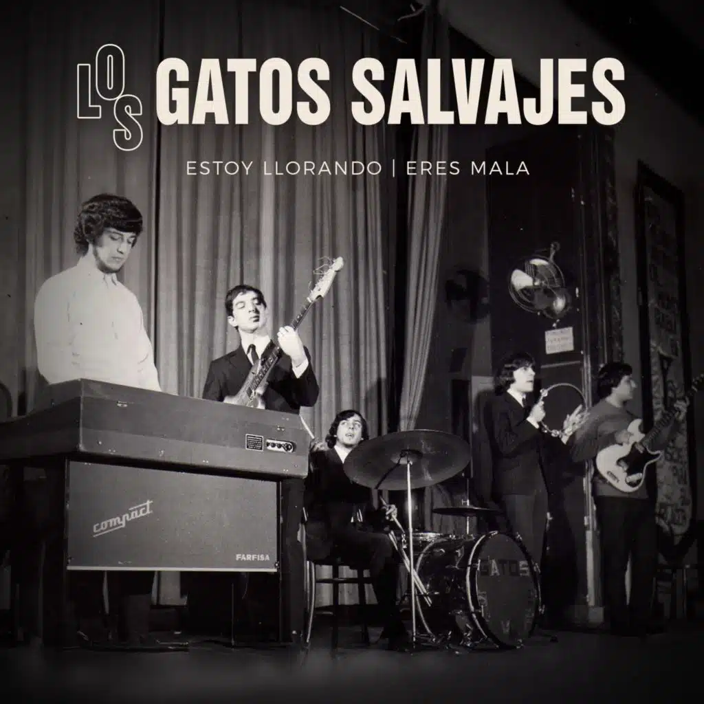 Estoy Llorando | Eres Mala (Remasterizado 2026)