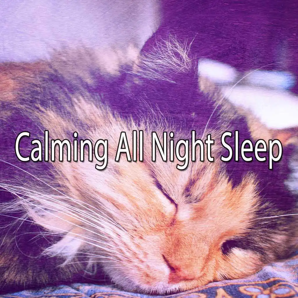 Calming All Night Sleep
