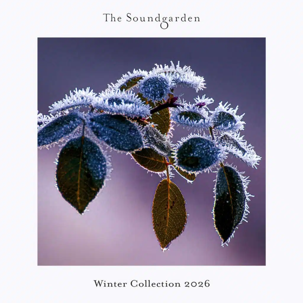 Winter Collection 2026