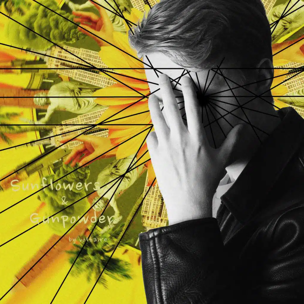 Sunflowers & Gunpowder