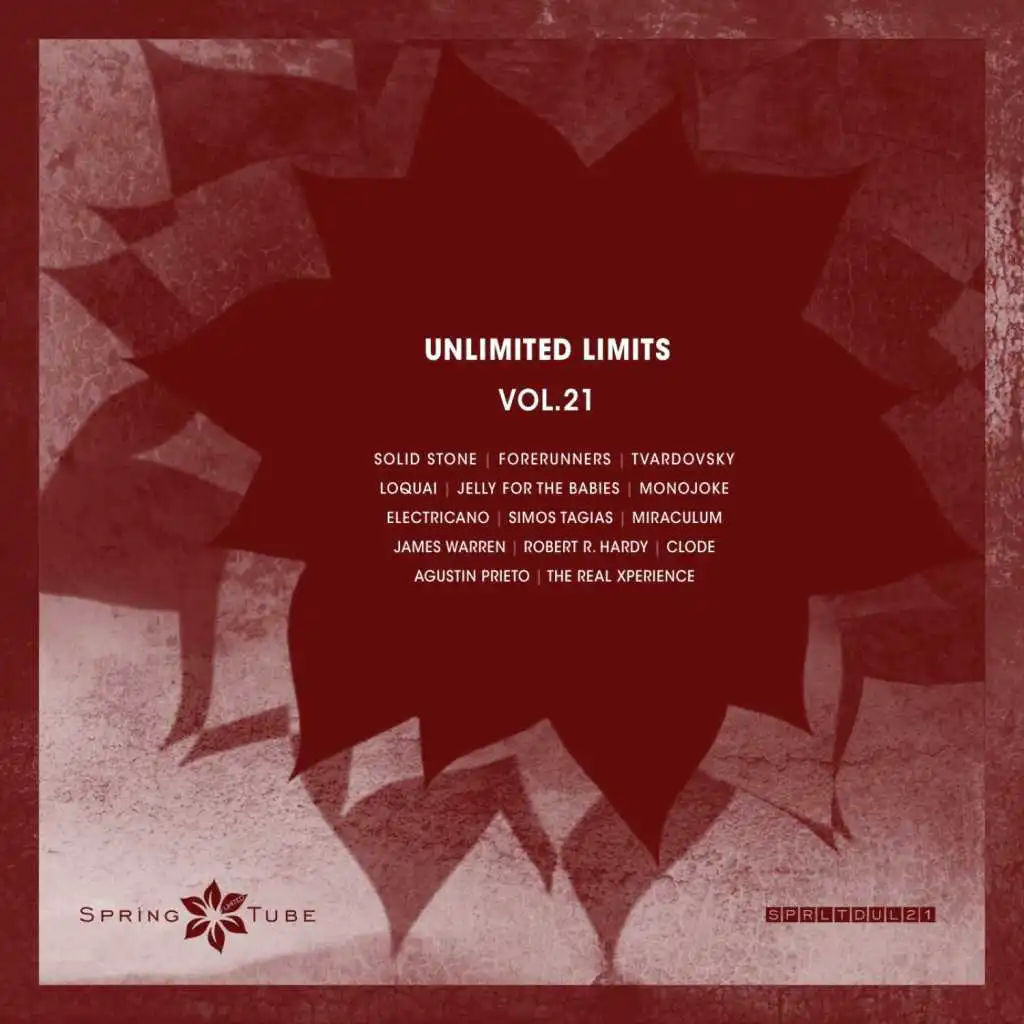 Unlimited Limits, Vol.21