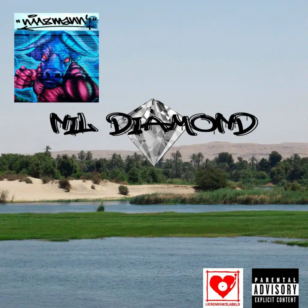 Chapter 1: Nil Diamond