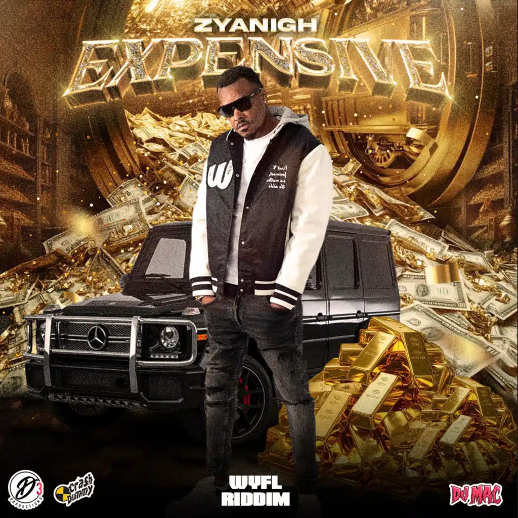 Zyanigh, Dj Mac & CrashDummy