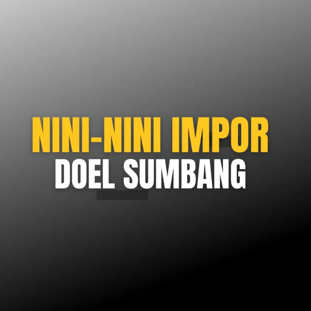 Nini-nini Impor