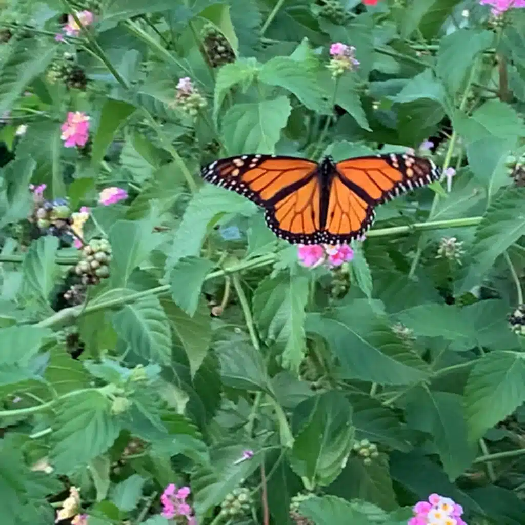 Will your husband’s prayers be hindered? 