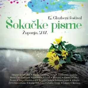12. Glazbeni Festival Šokačke Pisme 2017.