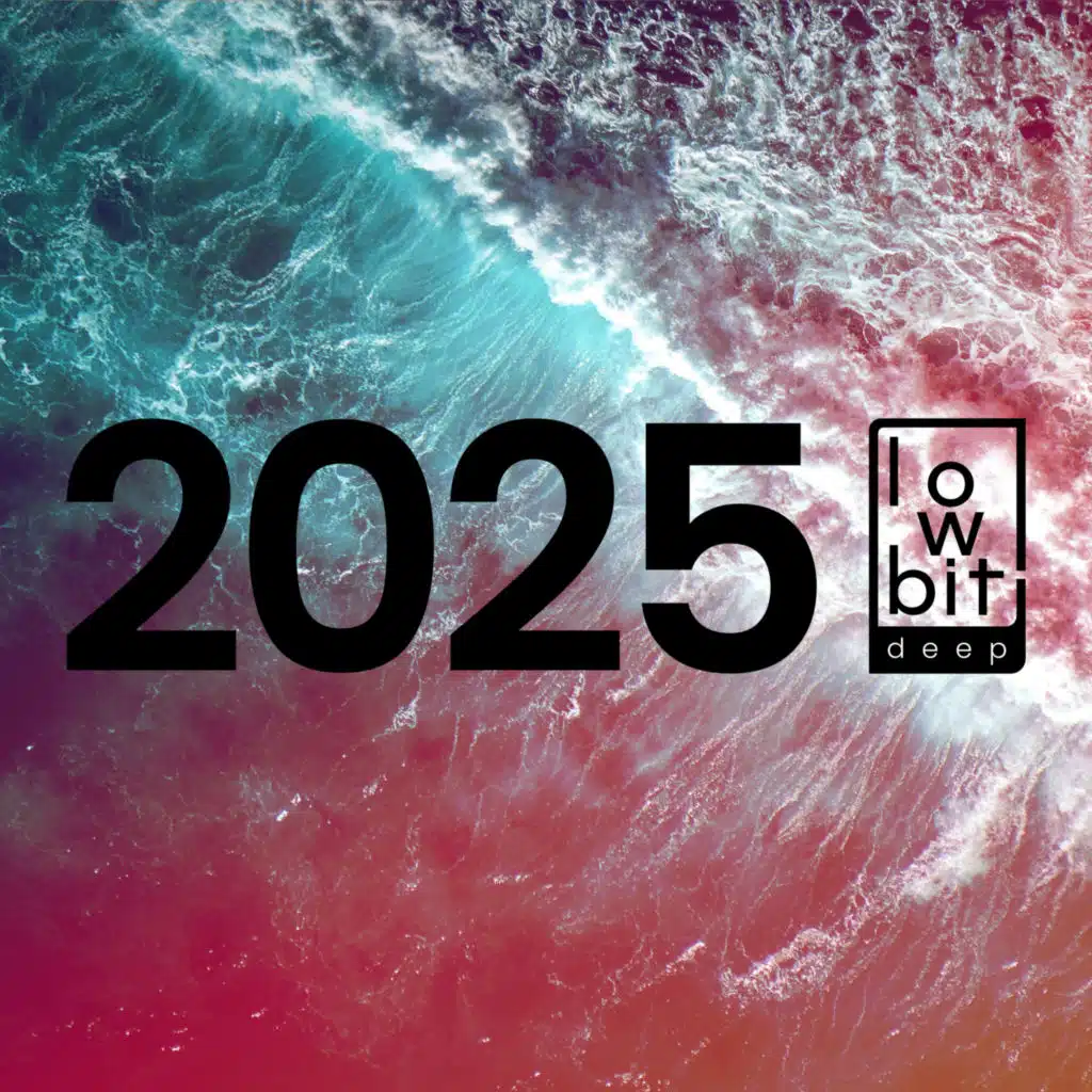 Lowbit Deep 2025