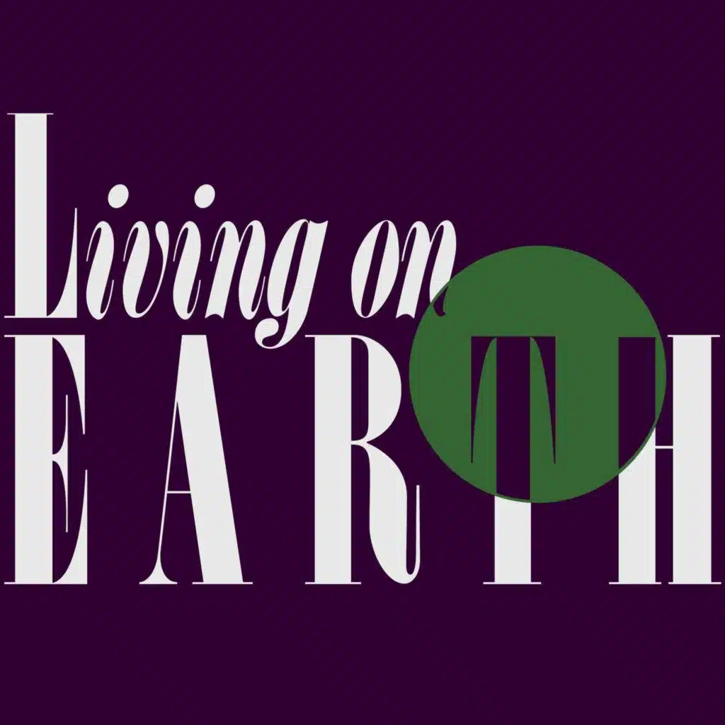 Environment and Rule of Law Under Trump, Sea of Grass and the Disappearing Prairie, An Indigenous Bison Harvest and more.