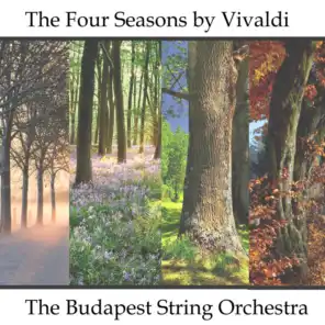 The Four Seasons - A Symphony for Strings