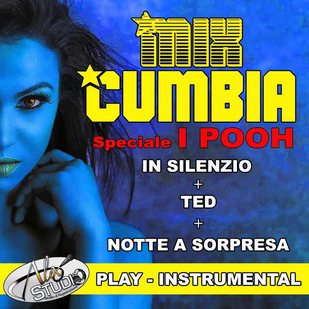 In silenzio - ted - notte a sorpresa (Instrumental)