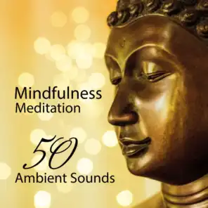 Mindfulness Meditation: 50 Ambient Sounds - The New Age Spirituality, Tibetan Bowls & Nature Music for Asian Zen Meditation and Yoga