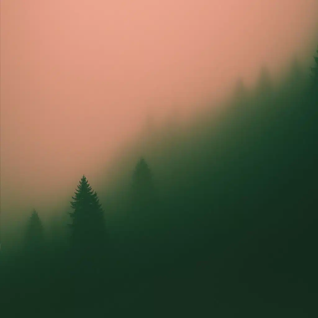 Dy Kamylle & diandra souza