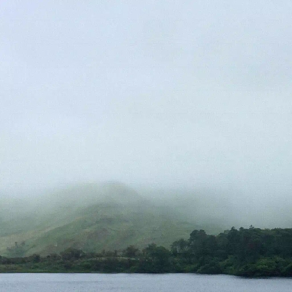 Daniel Welch & Akira Yamaoka