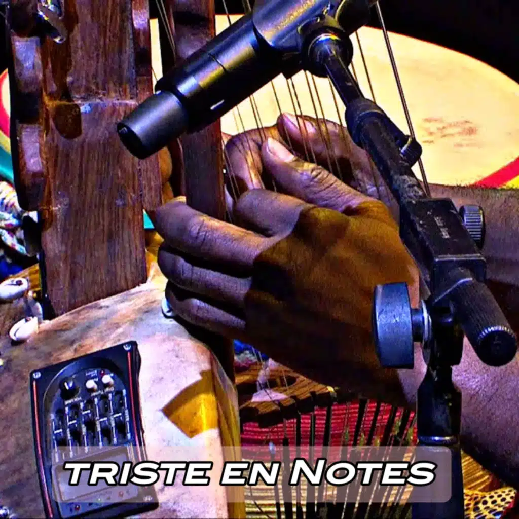 Triste en Notes (Remix)