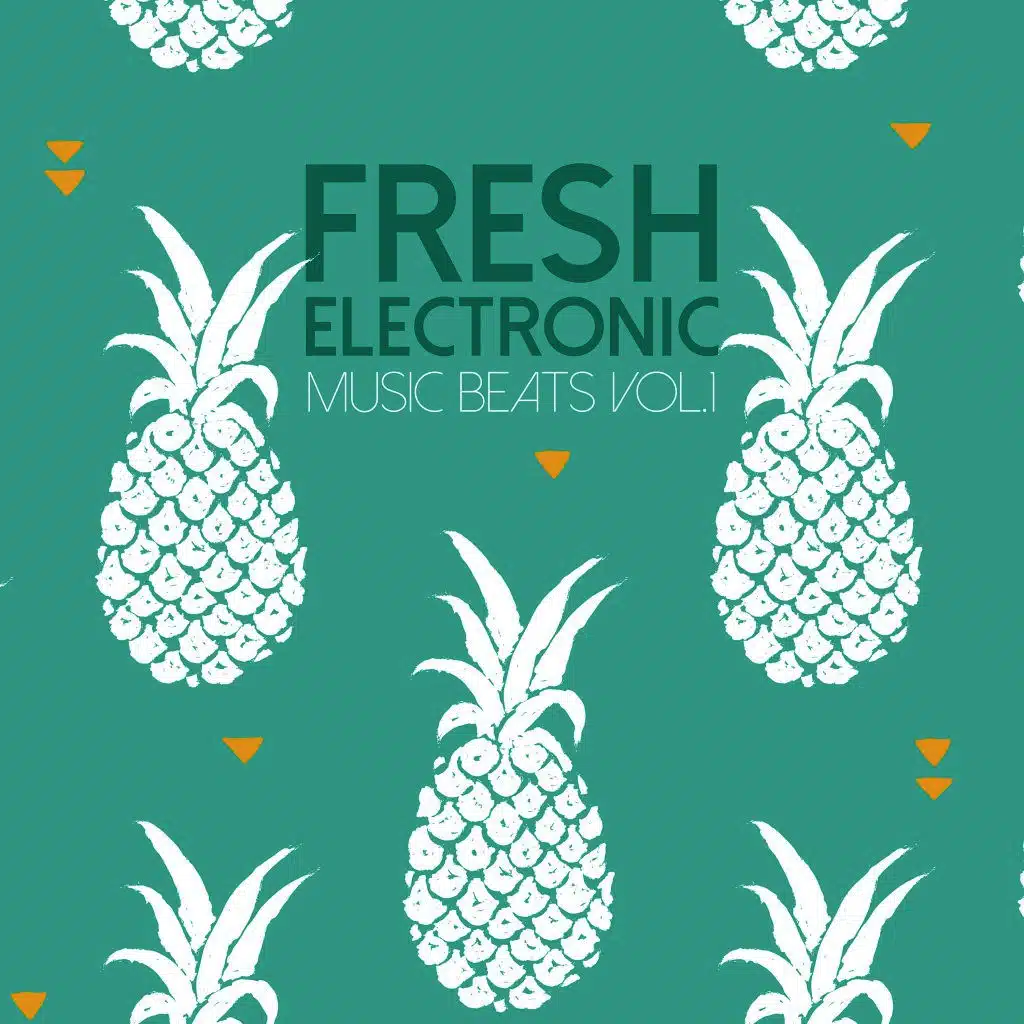 Fresh Electronic Music Beats, Vol. 2