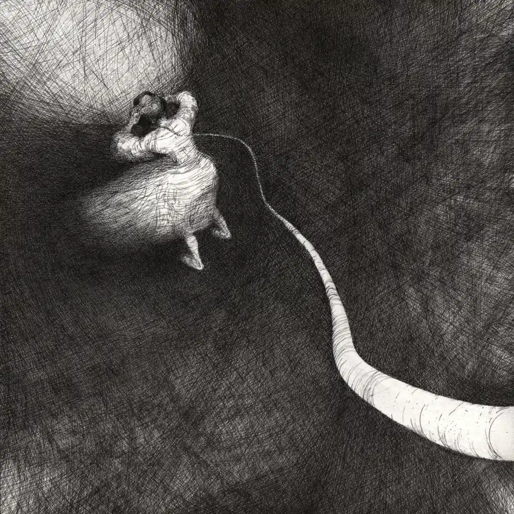 Наше ничего