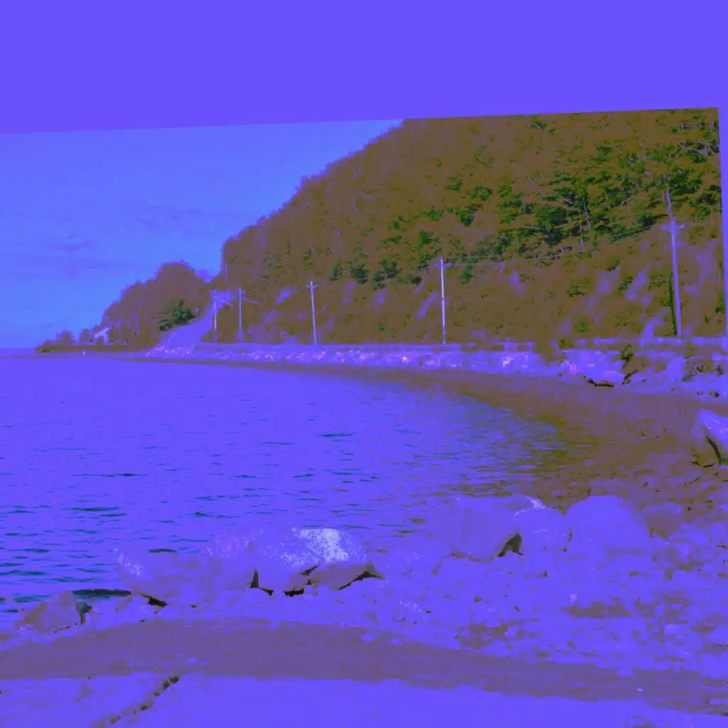 Collection of Merry Melodies Vol.1