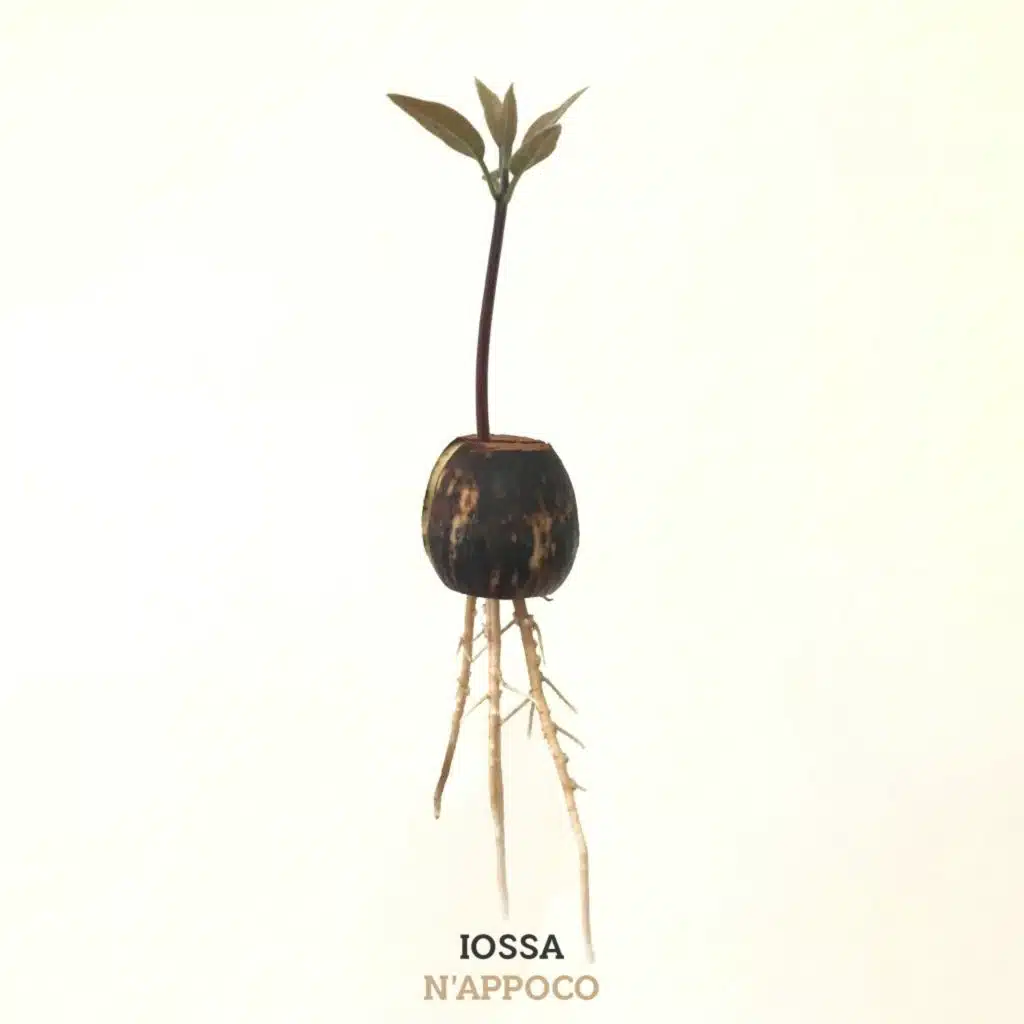 Iossa