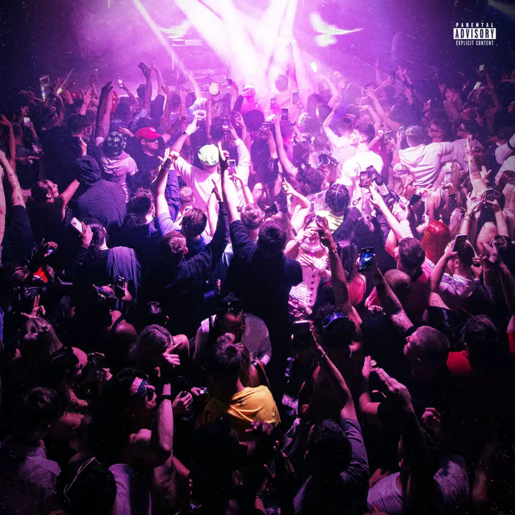 The Bassline Edition