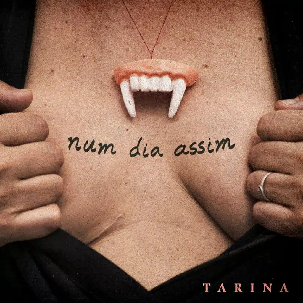 num dia assim