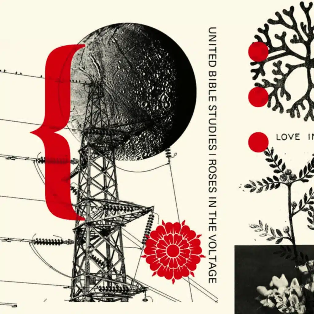Roses in the Voltage III