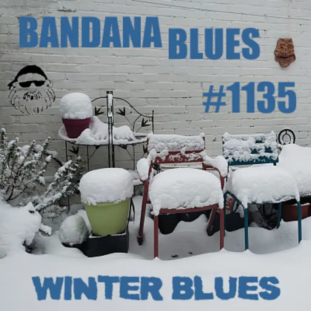 Bandana Blues #1135 - Winter Blues