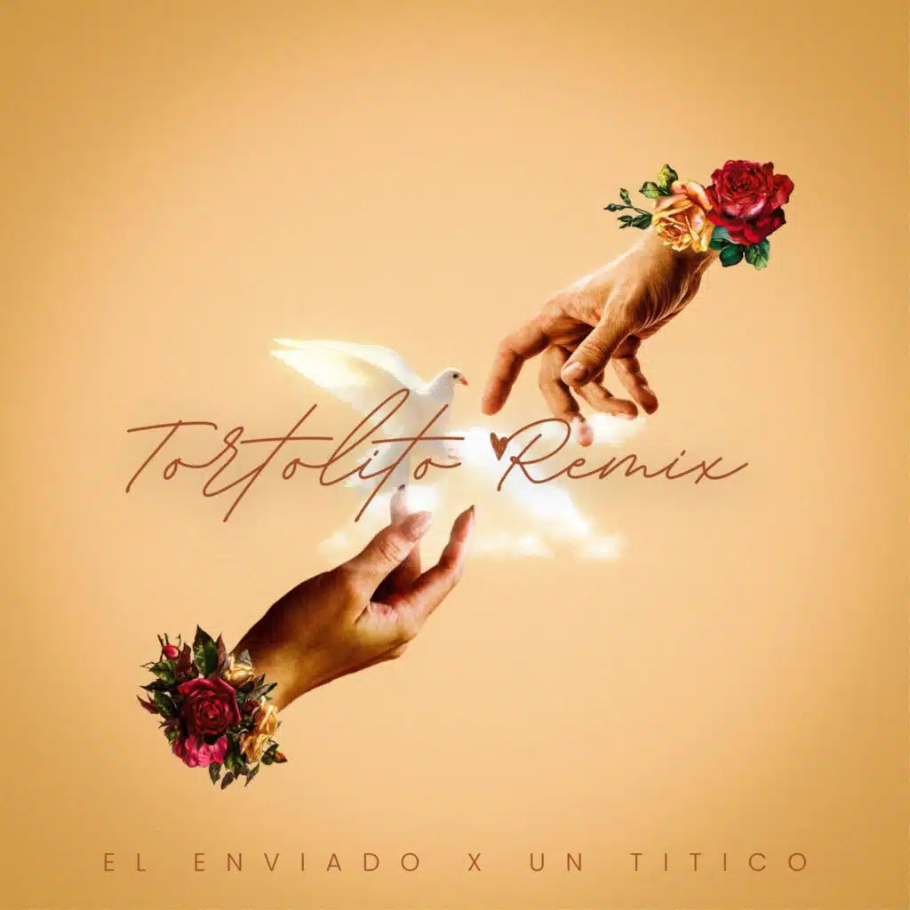 Tortolito REMIX
