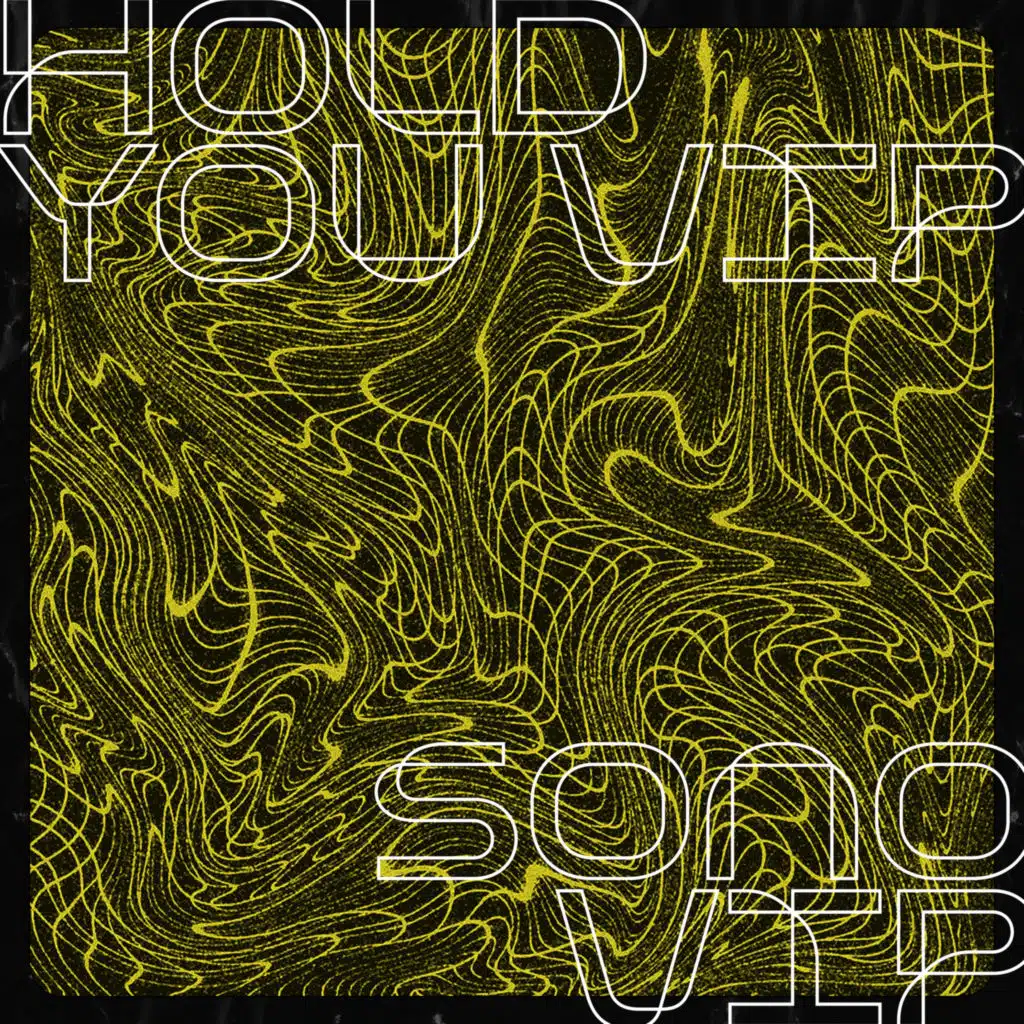 Hold You VIP / Sono VIP