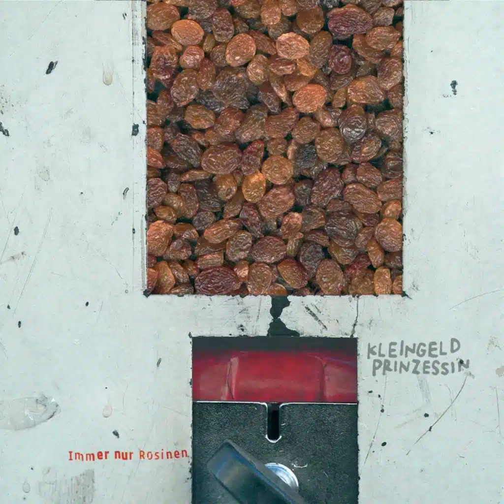 Immer nur Rosinen (feat. Die Stadtpiraten)