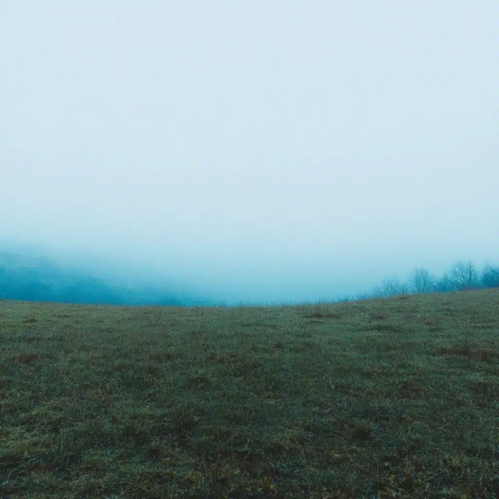 loopholes and dreams