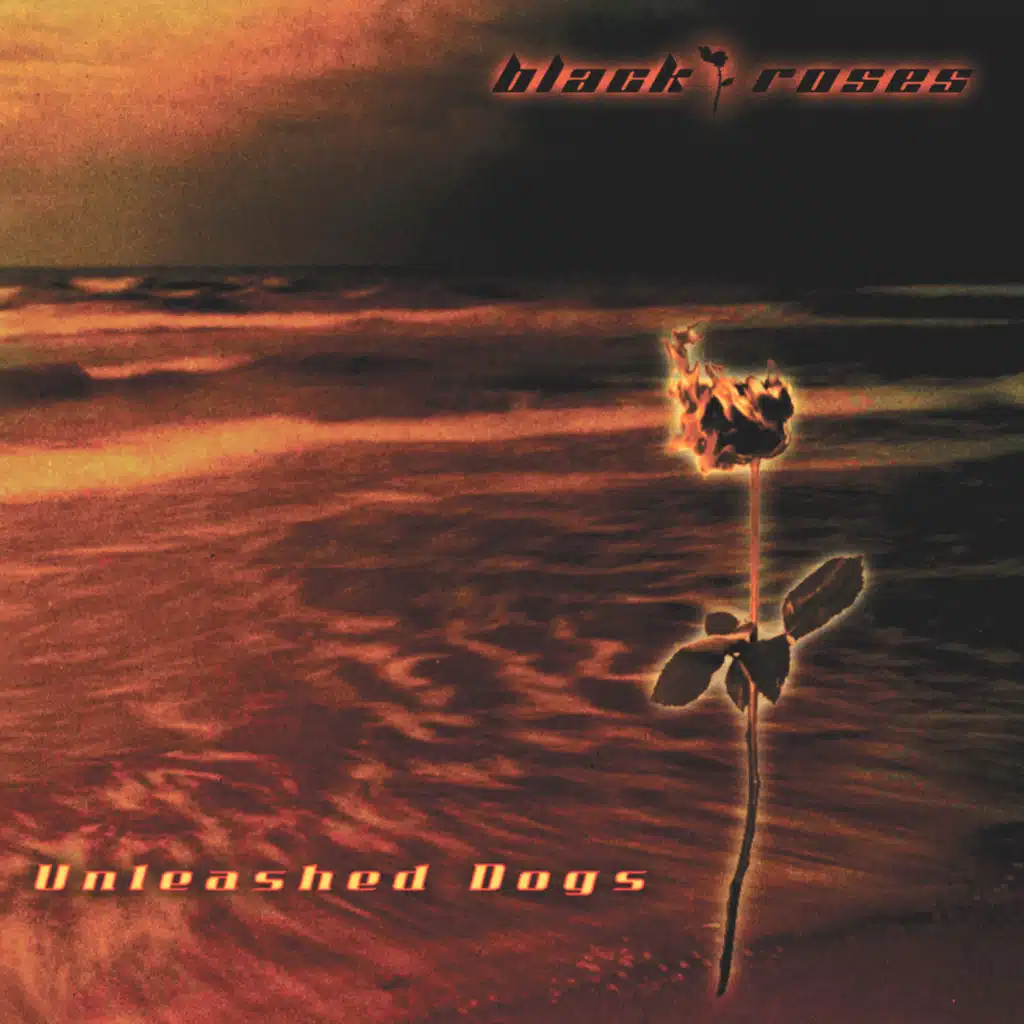 Unleashed Dogs