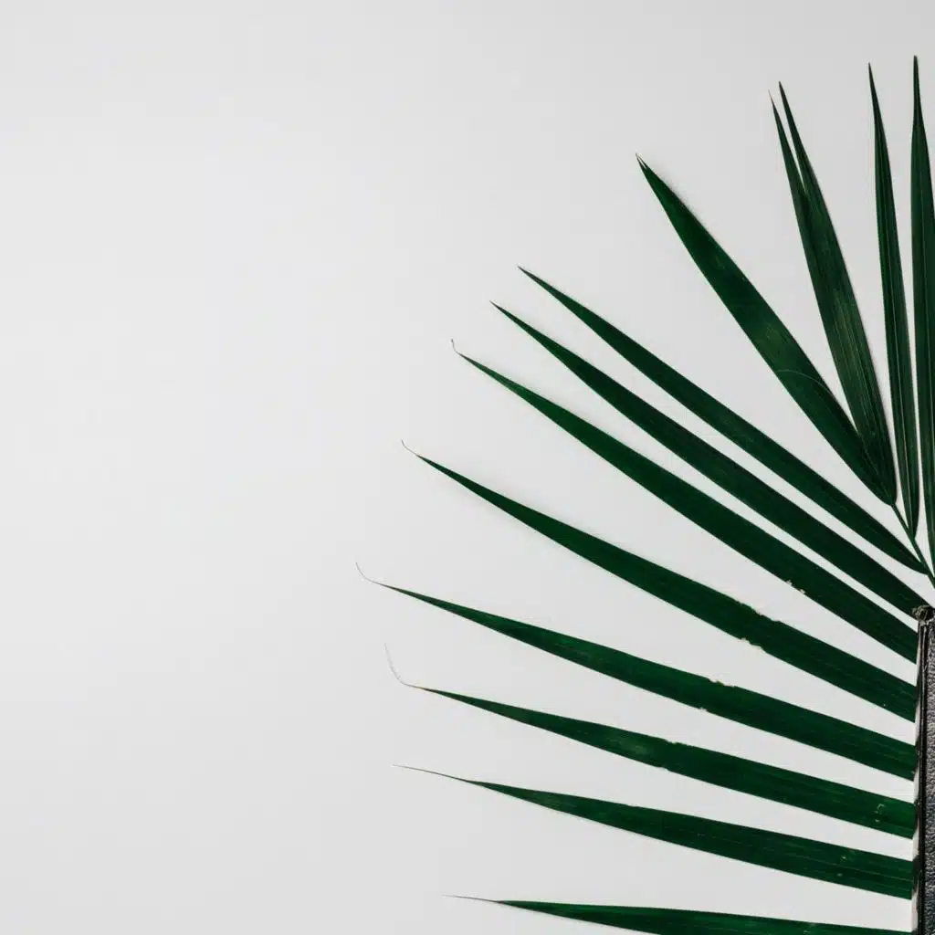 "Power in Vulnerability" 2 Corinthians 1:3-2:11