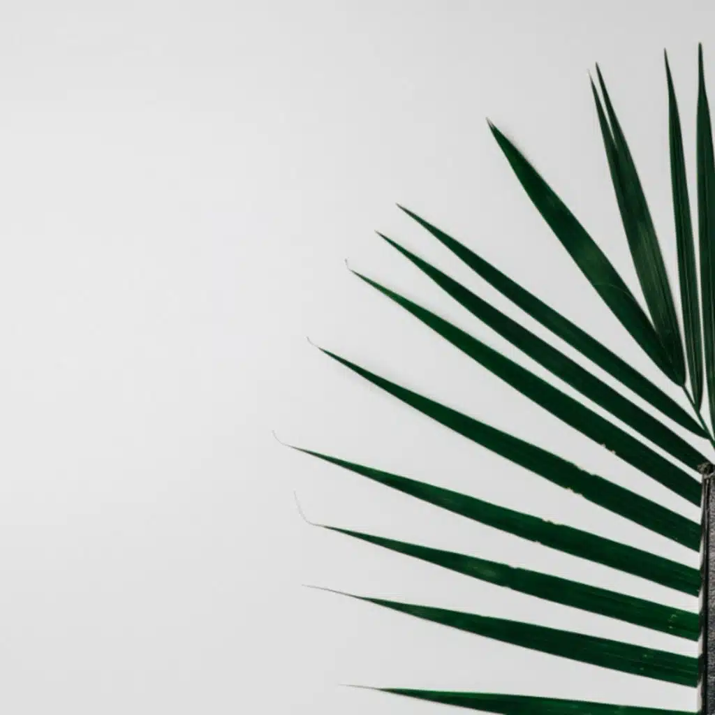 "Christian Bundle" 2 Corinthians 5:16-18