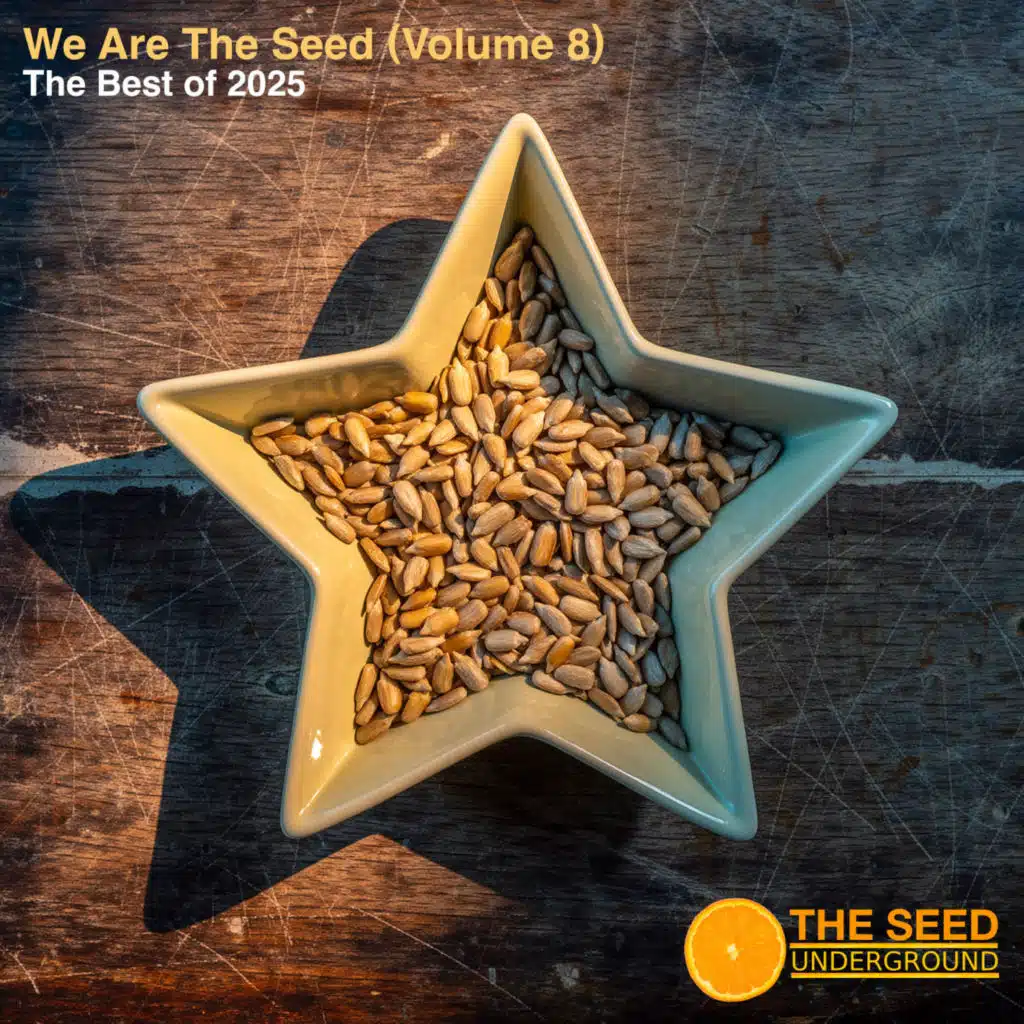 We are The Seed The Best of The Seed 2025 Volume 8