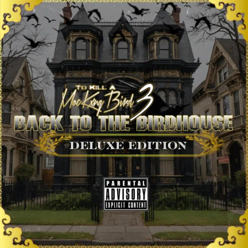 Black Falcun & Kxng Falcun