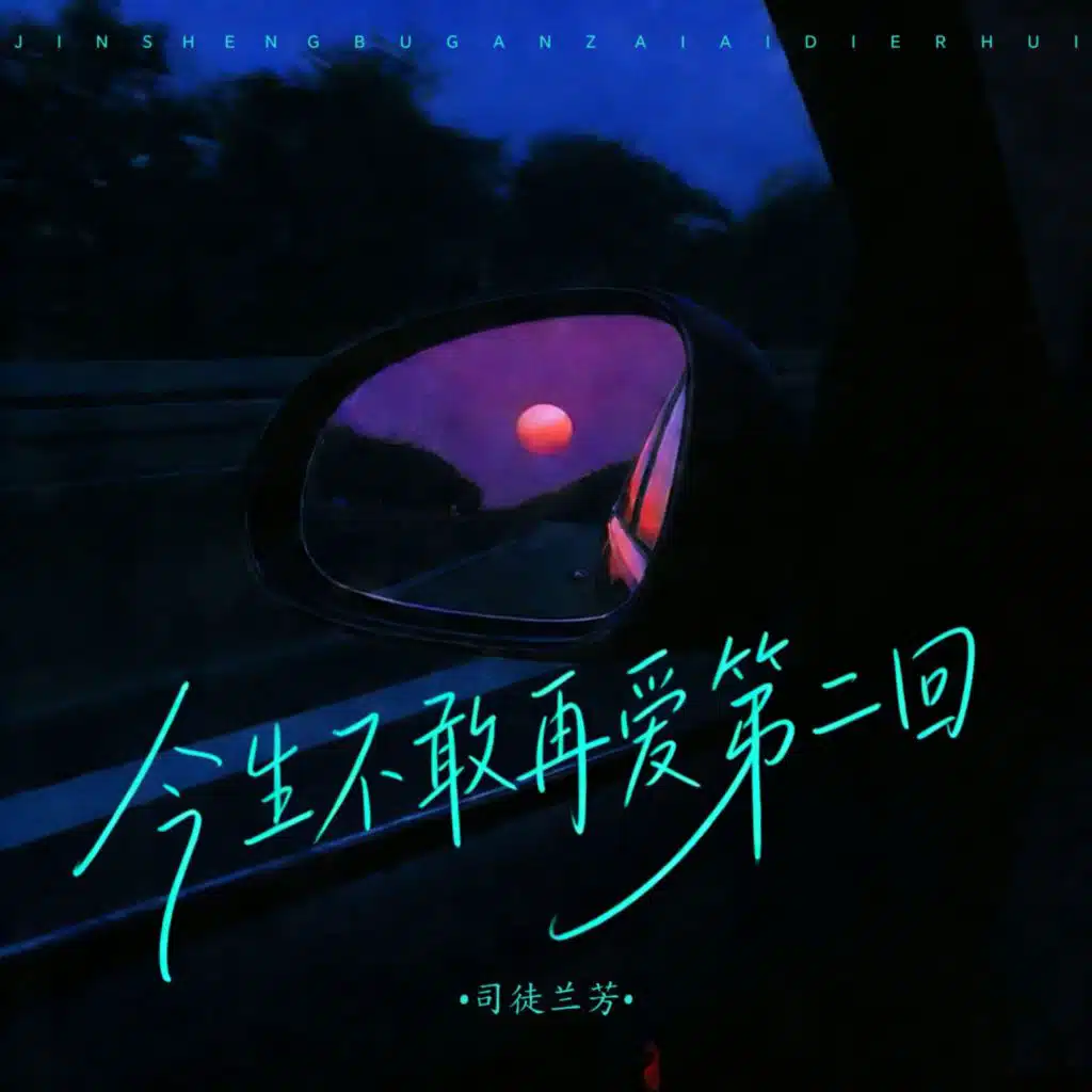 今生不敢再爱第二回 (DJ阿尼版伴奏)