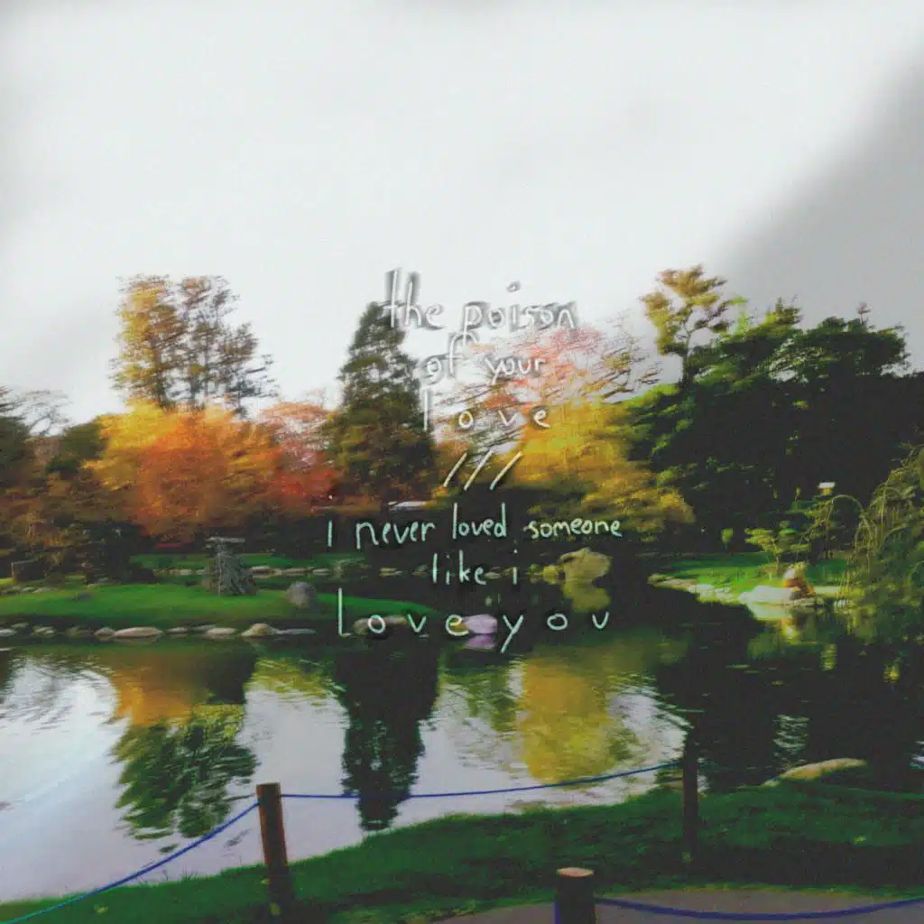 the poison of your love/i never loved someone like i love you