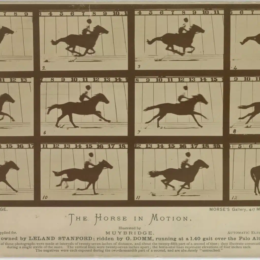 Eadweard Muybridge | The Horse in Motion