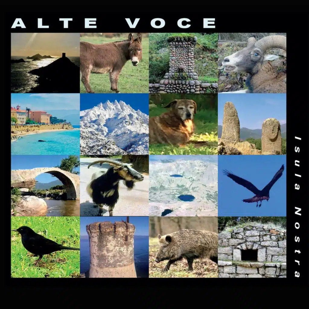 Alte Voce