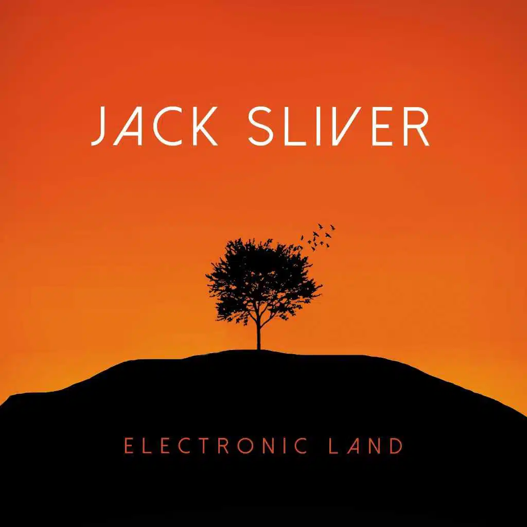 Electronic Land
