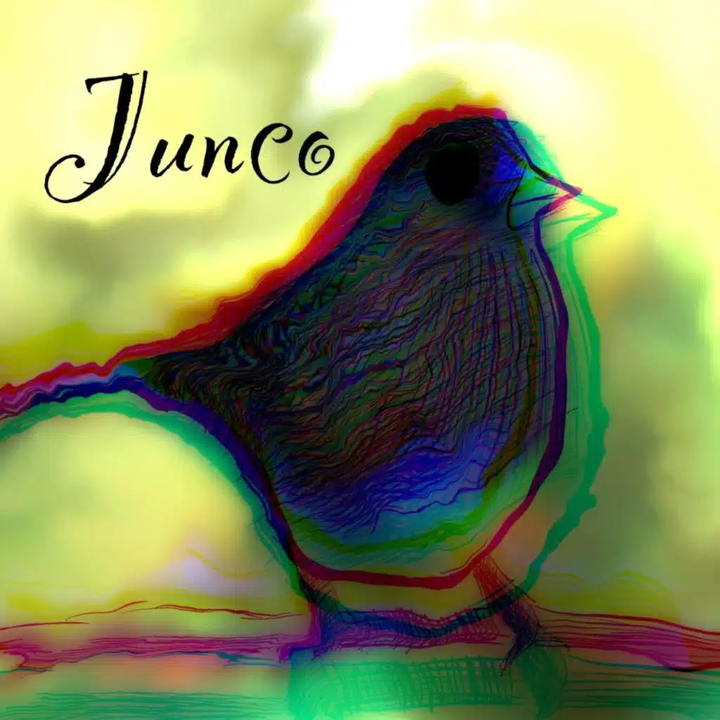 Junco