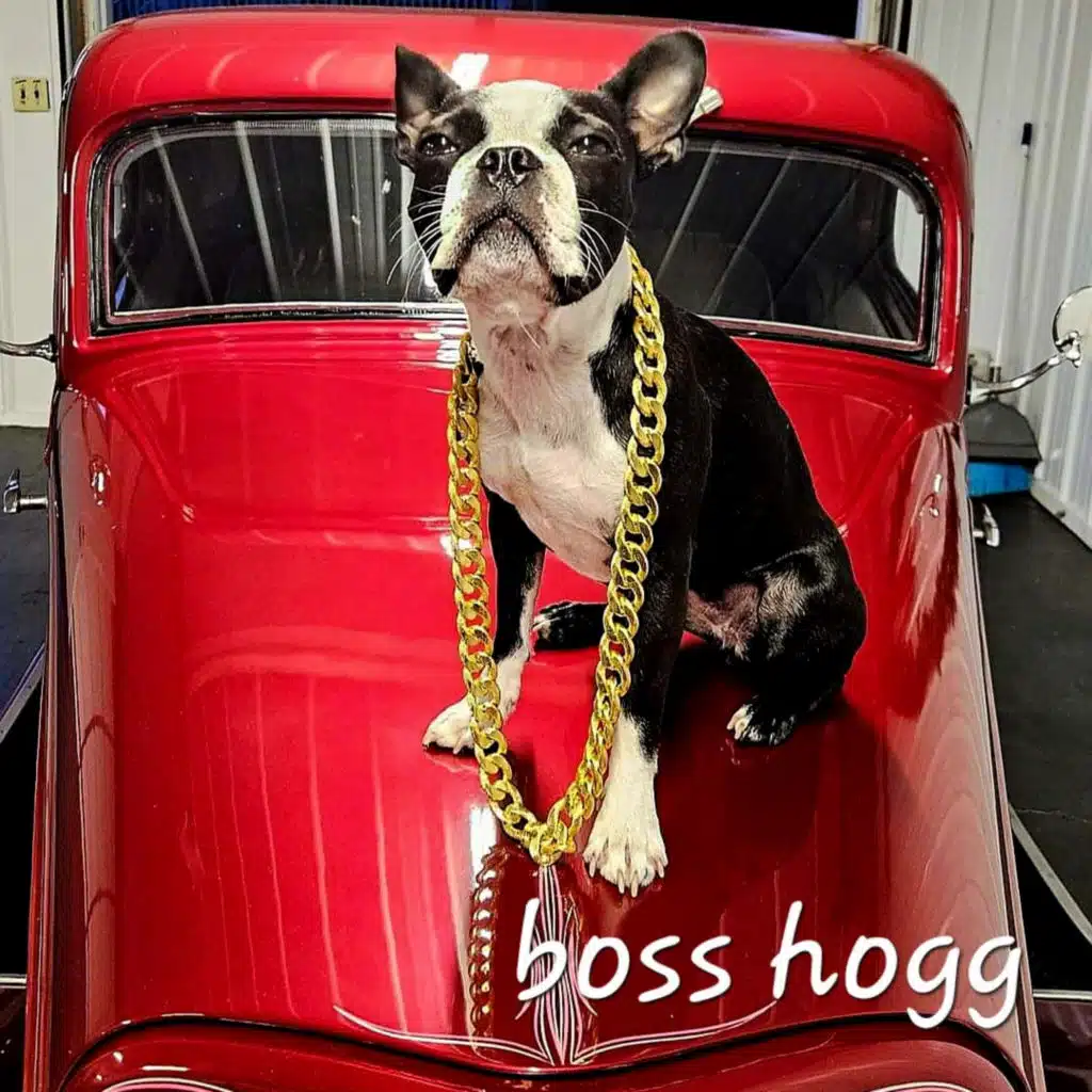 Boss Hogg