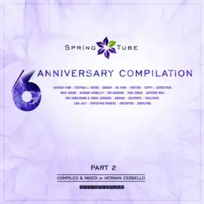 Spring Tube 6th Anniversary Compilation, Pt. 2 (Compiled and Mixed by Hernan Cerbello)