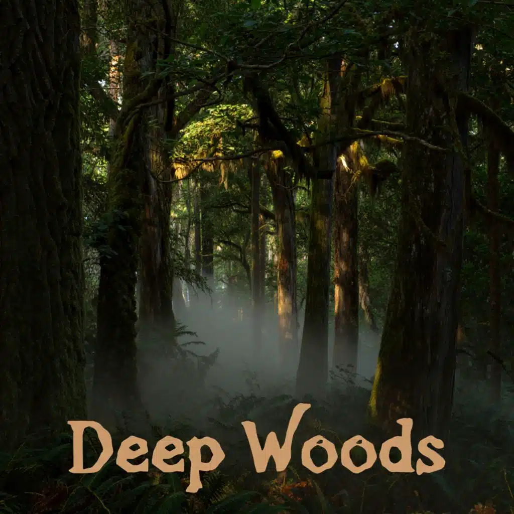 Deep Woods